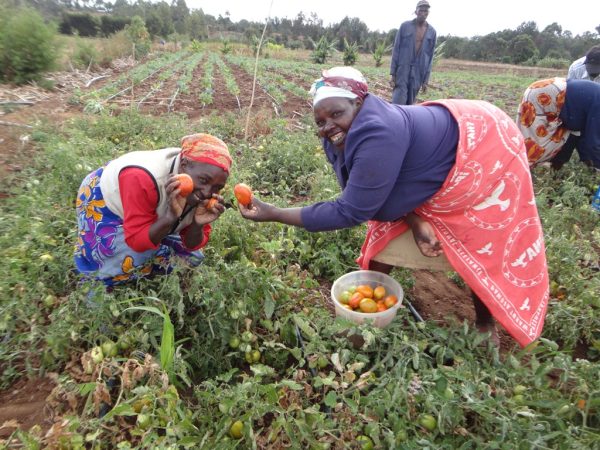 Decolonizing Climate Initiatives: Maarifa