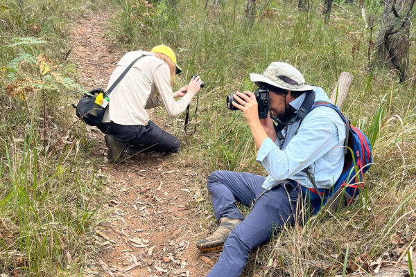 IUCN: Advancing citizen science to support and democratise conservation