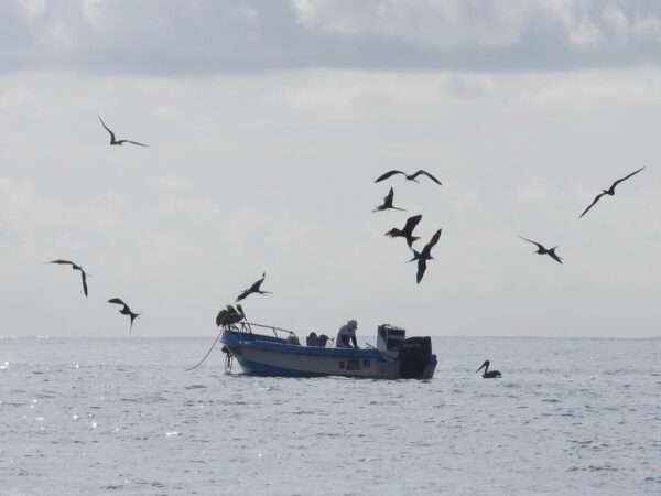 Local action for global impact: International Day for Biological Diversity 2026